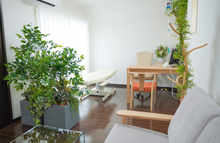 画像をギャラリービューアに読み込む, 美容バーム (ワセリン)【サンプル 2g】 恵比寿こもれびクリニック